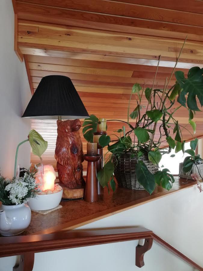 High Hopes Bed And Breakfast Ngoại thất bức ảnh